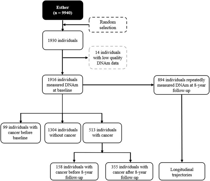 Fig. 2: Study participant flow chat.