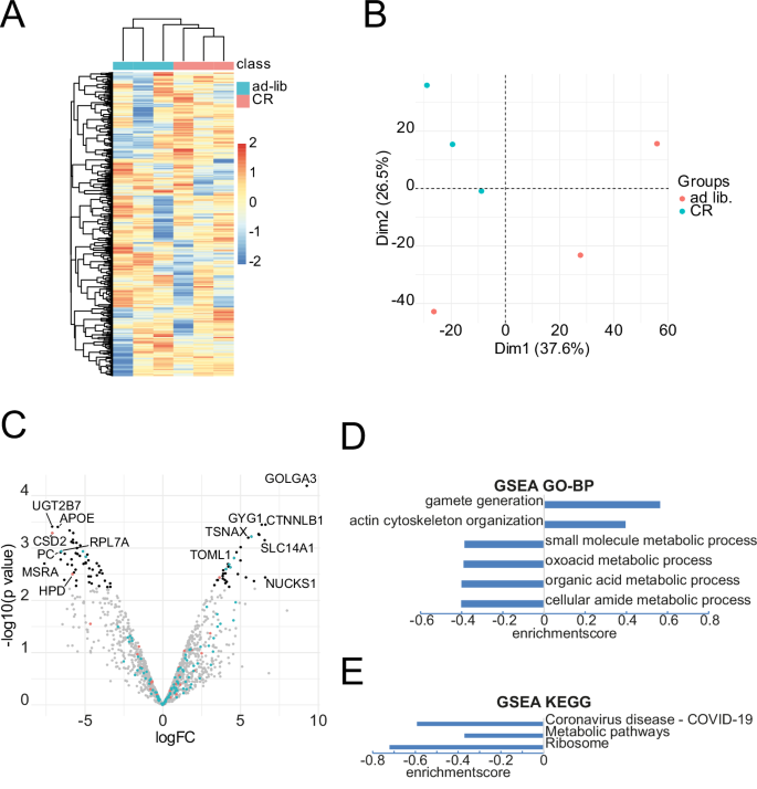 Fig. 3: Proteomic analyses of kidney biopsies.