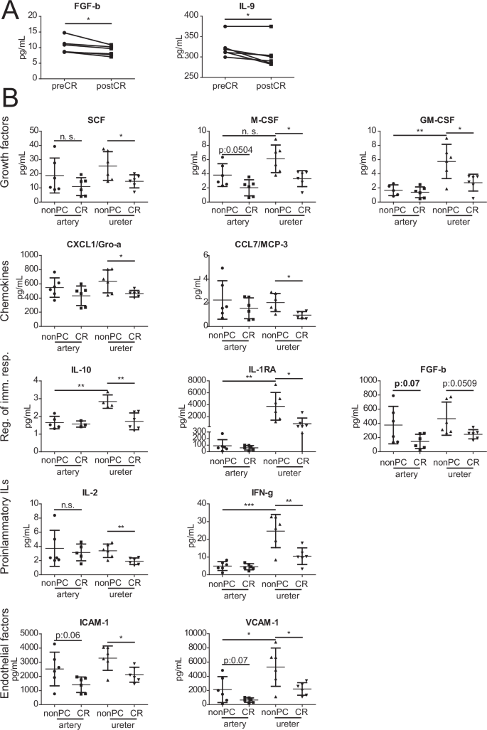 Fig. 4: Cytokine analyses of blood serum, renal artery and ureter specimen.
