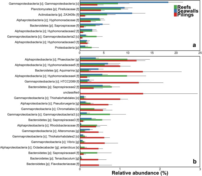 Frontiers  Rhodobacteraceae dominate the core microbiome of the