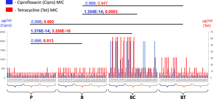 Rapid microevolution of biofilm cells in response to antibiotics | npj  Biofilms and Microbiomes