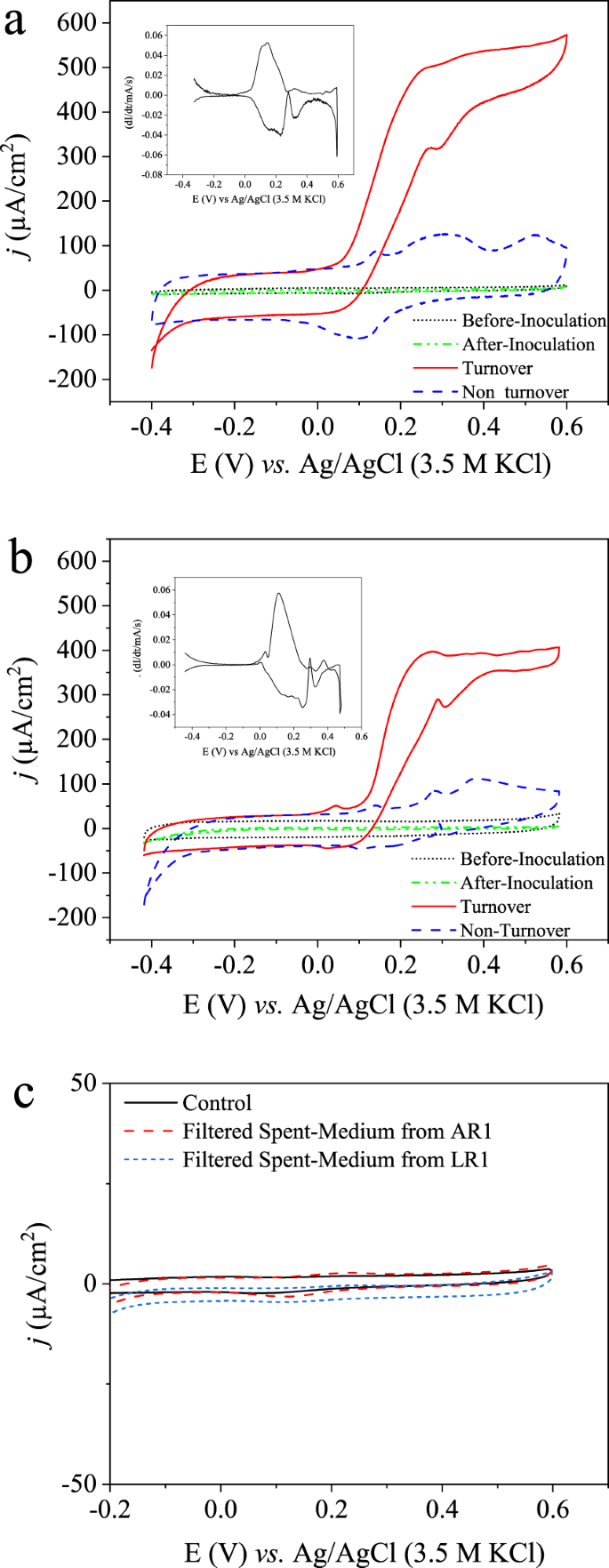 Microbial Electroactive Biofilms Dominated By Geoalkalibacter Spp From A Highly Saline Alkaline Environment Npj Biofilms And Microbiomes Microbial Electroactive Biofilms Dominated By Geoalkalibacter Spp From A Highly Saline Alkaline Environment Npj Biofilms And Microbiomes