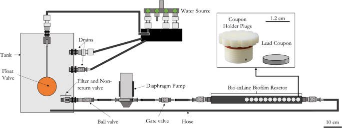 Influence Of Phosphate Dosing On Biofilms Development On Lead In Chlorinated Drinking Water Bioreactors Npj Biofilms And Microbiomes