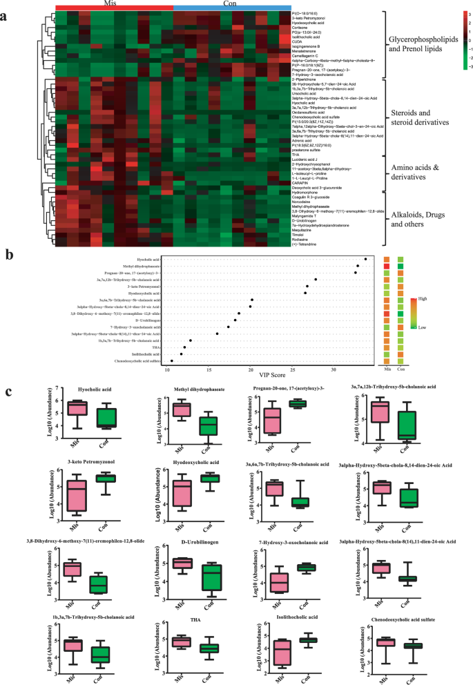 Interactions Between Gut Microbiota And Metabolites Modulate Cytokine Network Imbalances In Women With Unexplained Miscarriage Npj Biofilms And Microbiomes