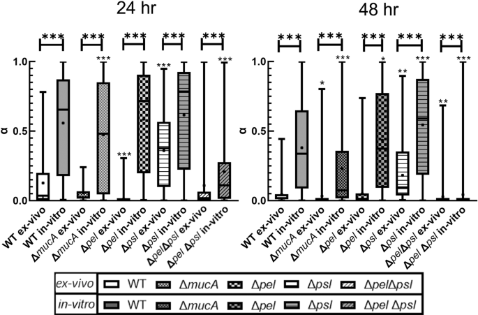 Microrheology Of Pseudomonas Aeruginosa Biofilms Grown In Wound Beds Npj Biofilms And Microbiomes
