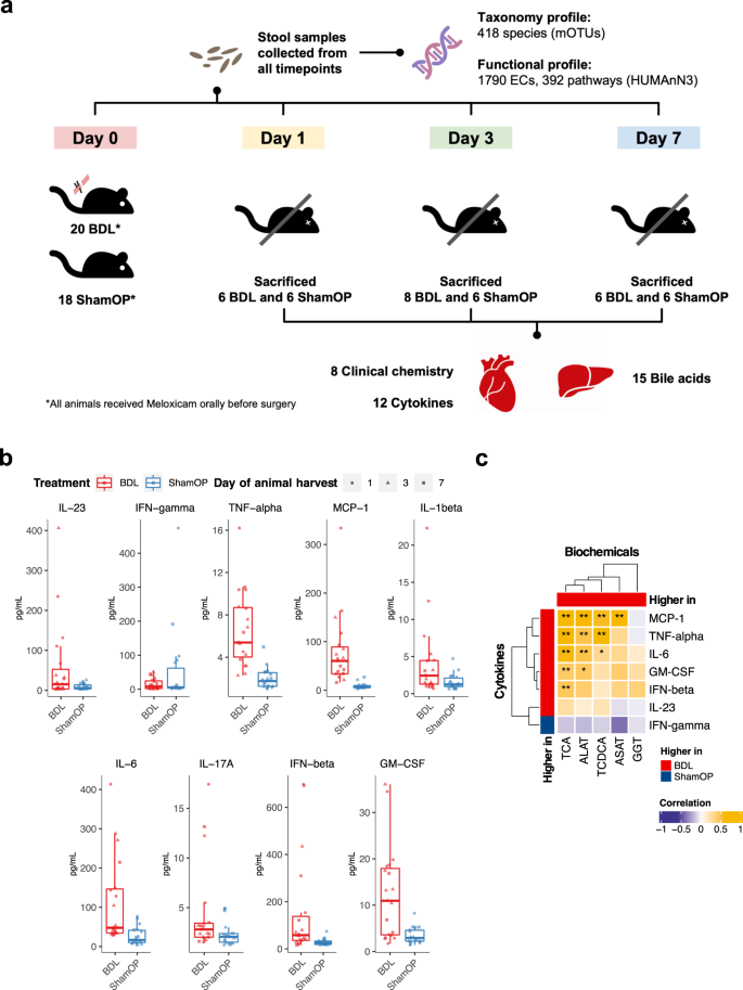 card Misleading World Record Guinness Book Impaired flux of bile acids from the liver to the gut reveals  microbiome-immune interactions associated with liver damage | npj Biofilms  and Microbiomes