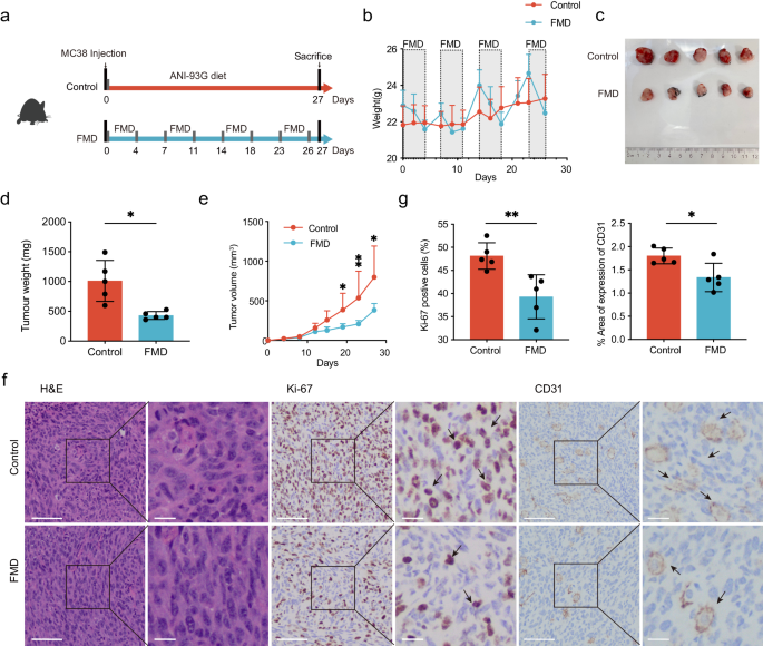 Fig. 1: FMD suppressed tumor growth in subcutaneous tumor model.