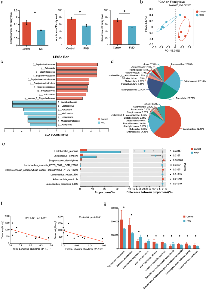 Fig. 3: FMD changed gut microbiota composition.
