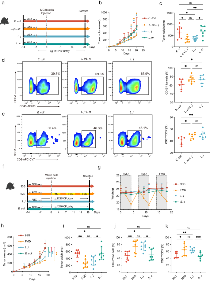 Fig. 4: L. johnsonii induced similar anti-tumor effect as FMD in CRC mouse model.