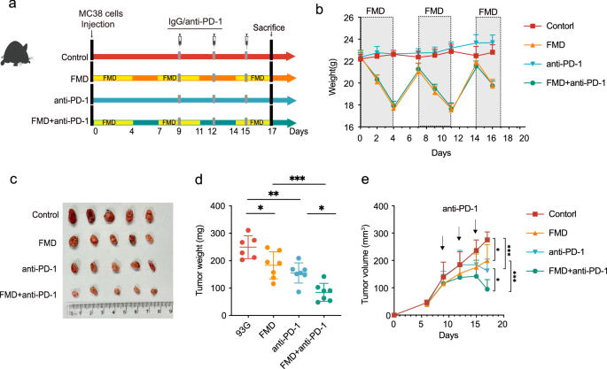 Fig. 5: The combined treatment of FMD and anti-PD-1 synergistically retarded tumor growth in subcutaneous tumor model.