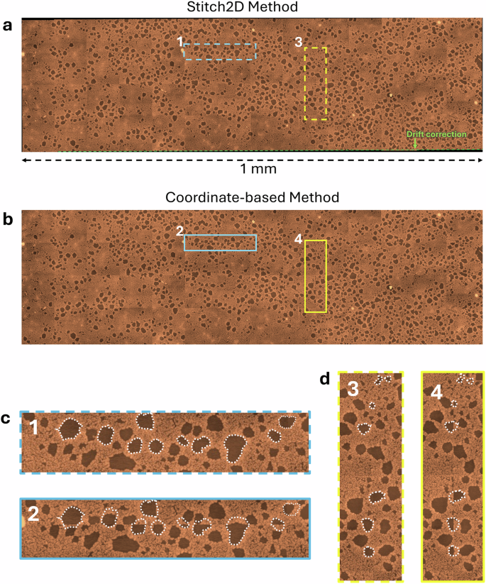 Fig. 3: Large area stitched image.