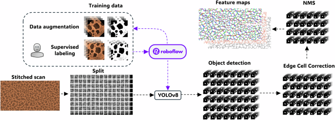 Fig. 4: Workflow schematic of the image analysis.
