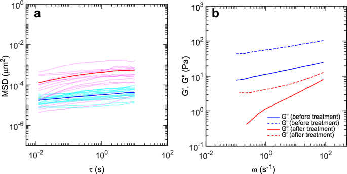 Fig. 6: Changes in viscoelastic properties of wild-type P. aeruginosa biofilms.