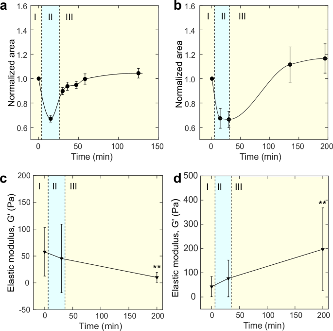 Fig. 7: The elastic modulus of wild-type P. aeruginosa biofilms correlated with its swelling property.
