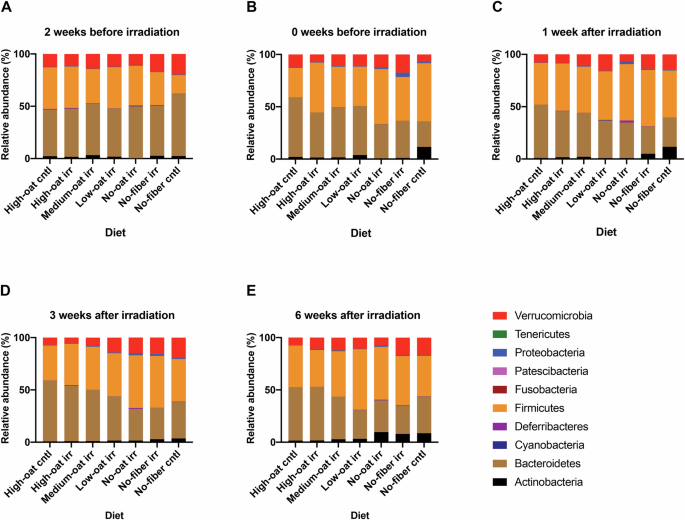 Fig. 3: Changes in relative bacterial abundances over time at the phylum level.
