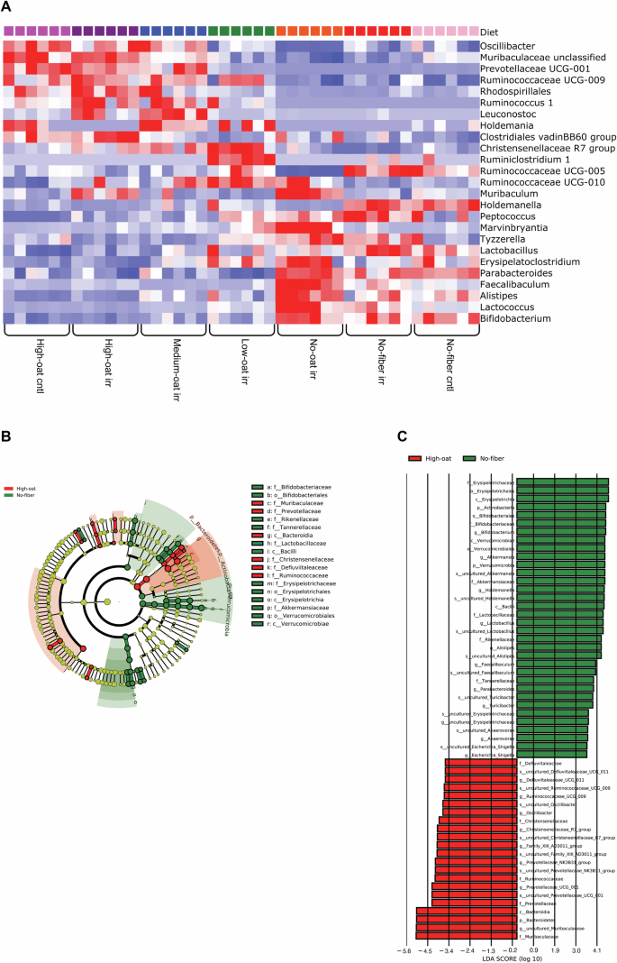 Fig. 5: Relative bacterial abundances at 6 weeks after irradiation.