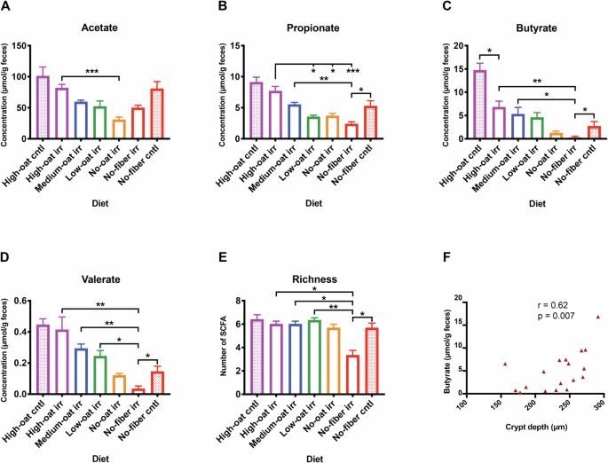 Fig. 6: Short-chain fatty acids (SCFAs) analyzed 6 weeks after irradiation using gas-liquid chromatography.