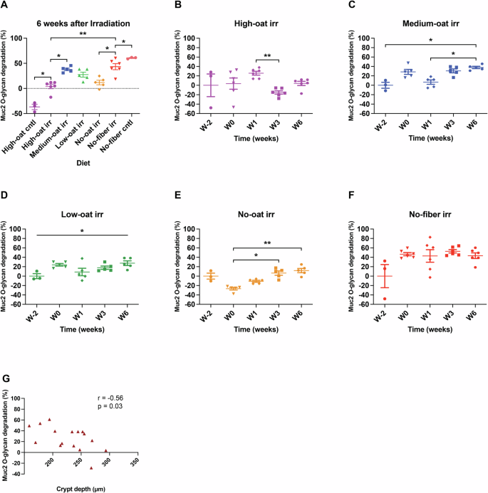 Fig. 7: Muc2 O-glycan degradation over time in various dietary groups.