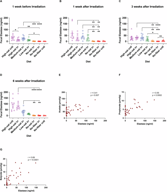 Fig. 8: Fecal neutrophil elastase concentrations detected in mice fed the different diets over time.