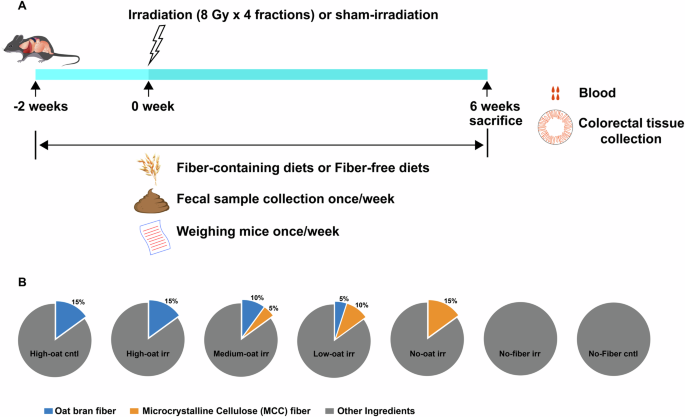 Fig. 9: Experimental design.