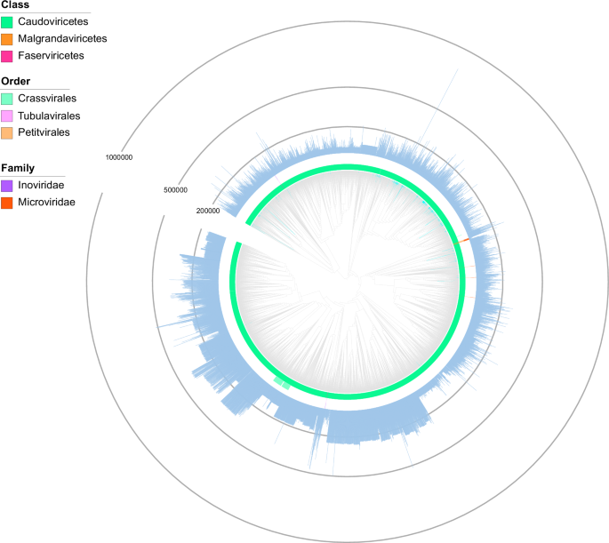 Fig. 2: Viral diversity of OPD.