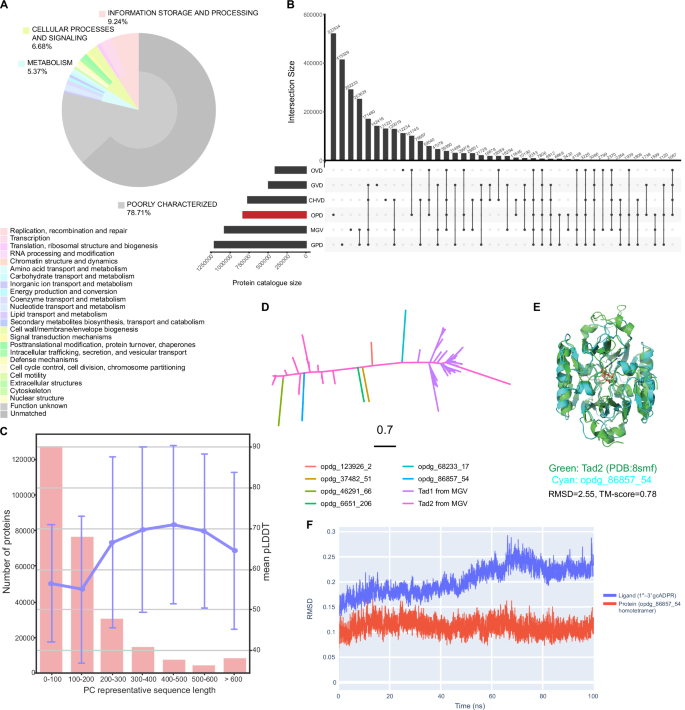 Fig. 3: Identification of putative functional proteins from OPD using sequence and structure information.