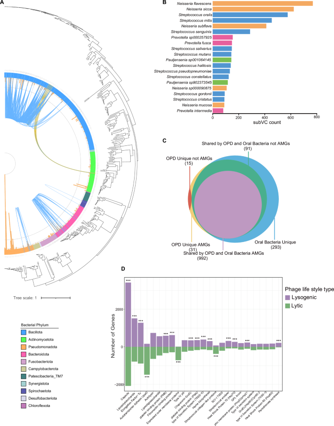 Fig. 4: The interaction between oral phages and bacterial hosts.