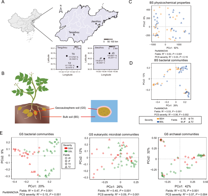 Fig. 1: Dynamics of community homeostasis indices in bacterial, eukaryotic, and archaeal communities of GS and BS under PCS stress.