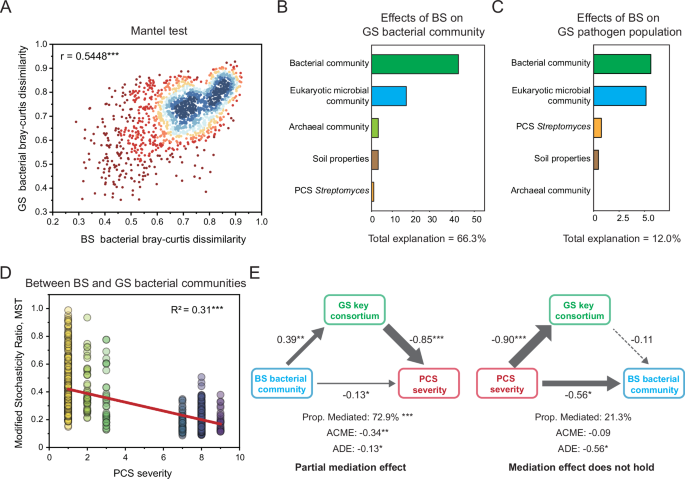 Fig. 5: GS bacterial community as a mediator of the effect of BS bacterial community on PCS severity.