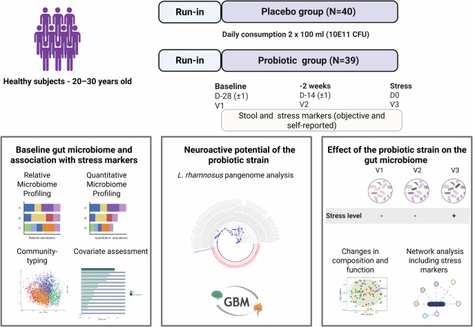 Fig. 1: Study design and analysis performed.