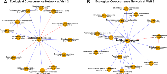 Fig. 5: Co-occurrence network around L. rhamnosus mOTU using SPRING in absence and presence of stress.