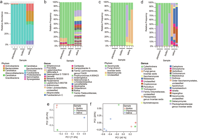 Fig. 3: Composition of Chicago saliva collection and examining the use of 5% CO2 as a culturing method for ex-vivo oral microbiomes.