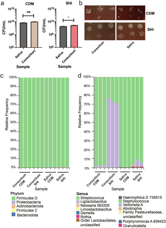 Fig. 4: Examining the impact of CDM vs. SHI medium on culturing ex-vivo oral microbiomes.
