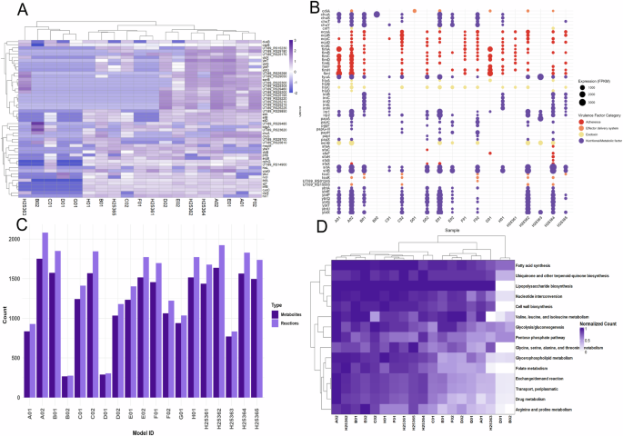 Fig. 2: Virulence strategies and metabolic adaptation of UPEC UTI89 across patients.