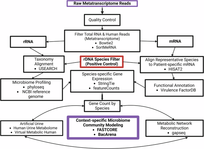 Fig. 6: Workflow of reconstructing context-specific microbiome community models from metatranscriptomic data.