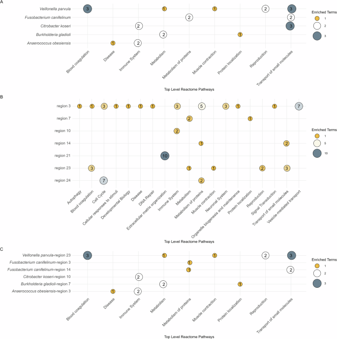 Functionally enriched human polymorphisms associate to species in the ...
