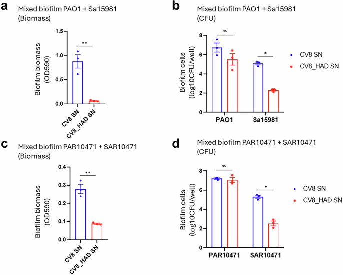 Engineered Mycoplasma pneumoniae targeting dual-species bacterial ...