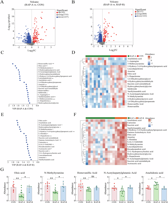 Fig. 4: Fecal metabolites profiles of healthy controls and RAP patients during acute attack and remission.
