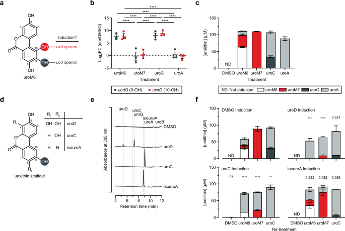 Fig. 5: Transcription of uxd and ucd is coordinated.