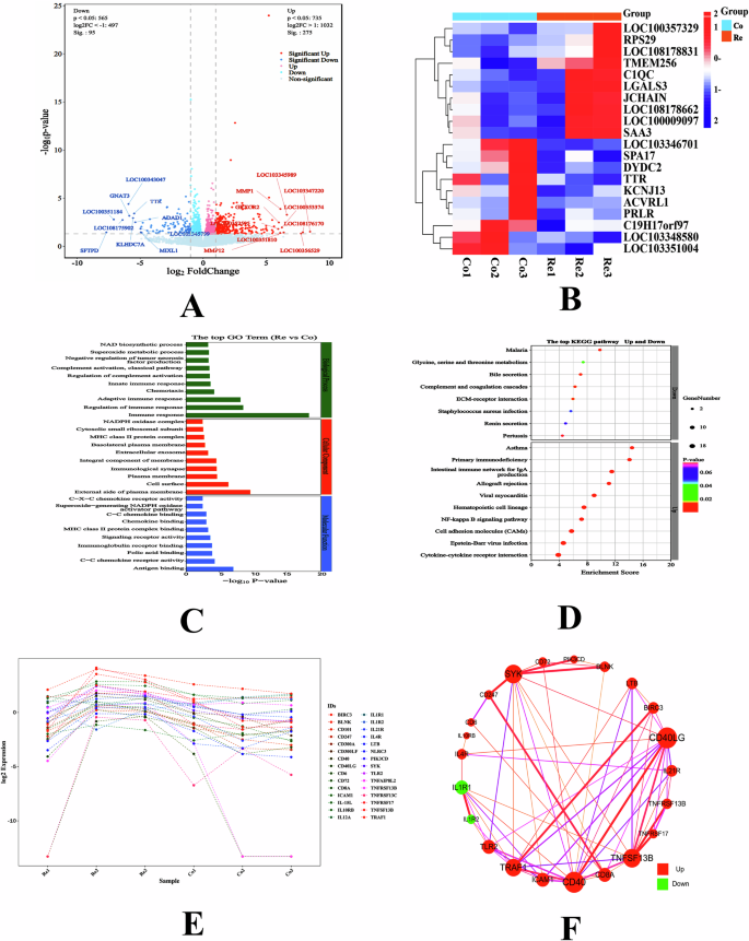 Fig. 1: The cerebral cortex transcriptional profile in response to dietary restriction.