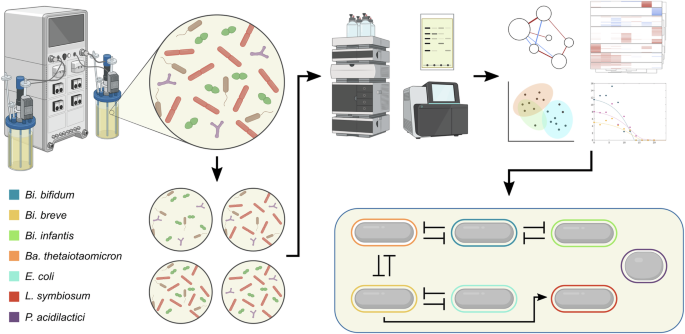 Fig. 1: Schematic summary of approaches used in this study.