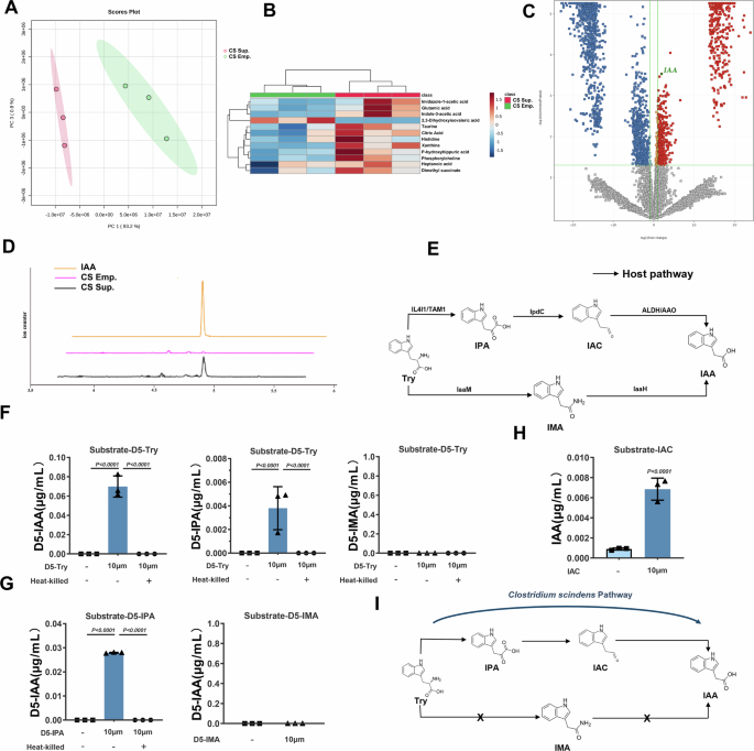Fig. 3: CS metabolize tryptophan in vitro.