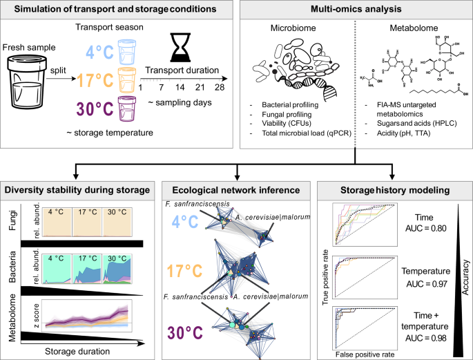 Fig. 1: Overview of experimental design, multi-omics analysis, and main findings.