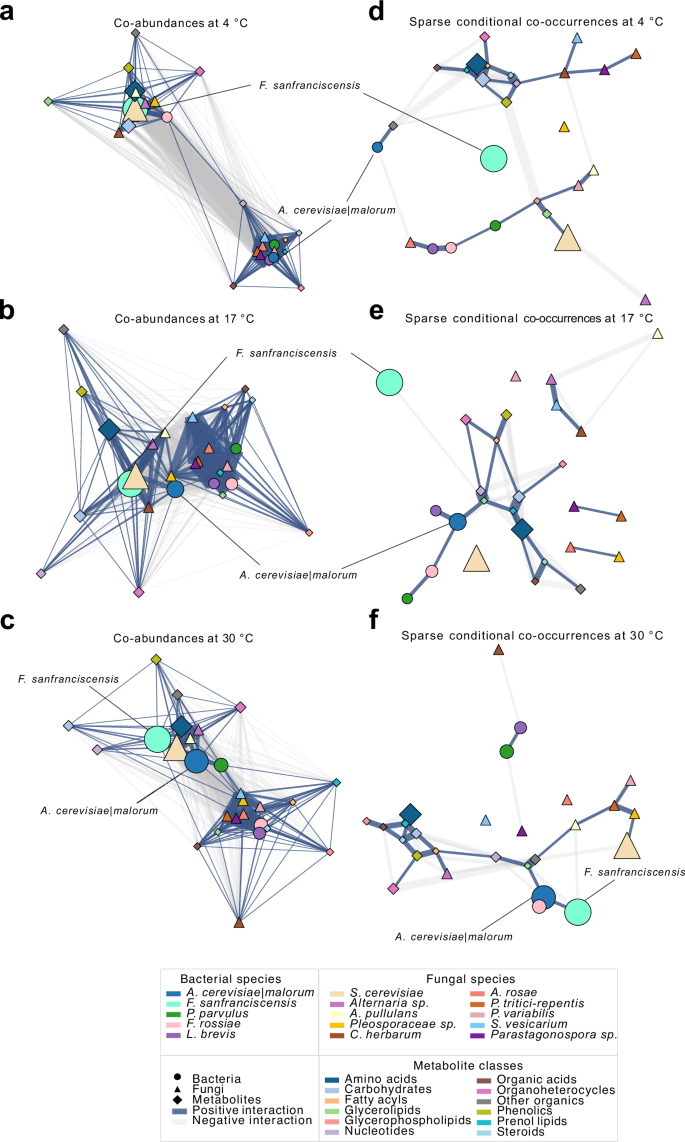 Fig. 6: Ecological networks in sourdough microbiomes under starvation at different temperatures.