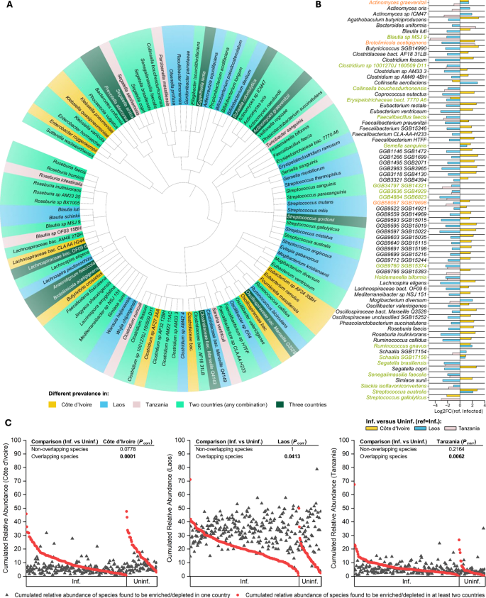 Fig. 3: Species-level differences between infection groups, stratified by country.
