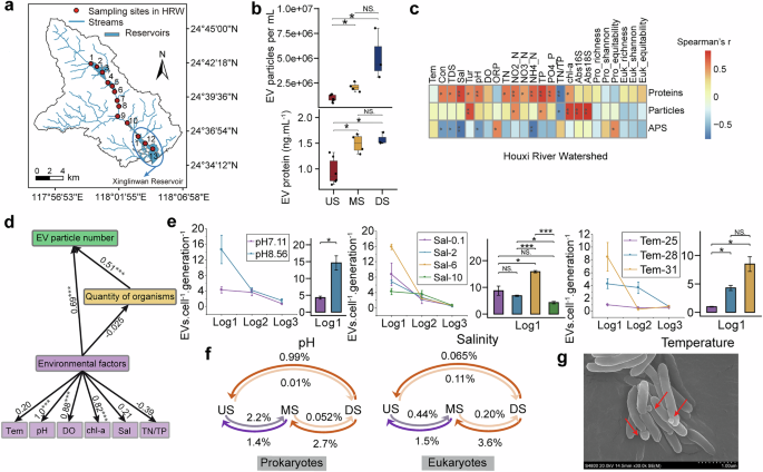 Fig. 3: EVs production is regulated by biotic and abiotic factors.