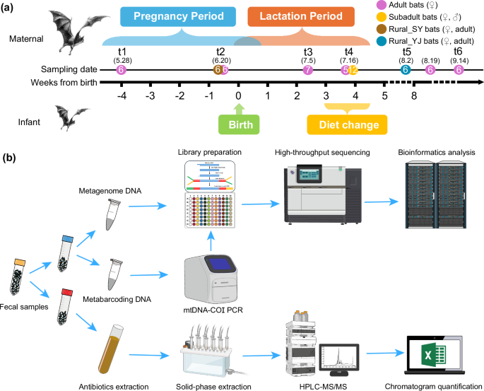 Fig. 1: Overview of sampling design and experimental procedures.
