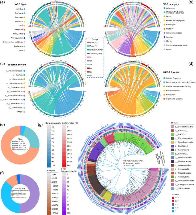 Fig. 2: A panoramic view of gut bacteria, resistome, and virulome in Vespertilio sinensis.