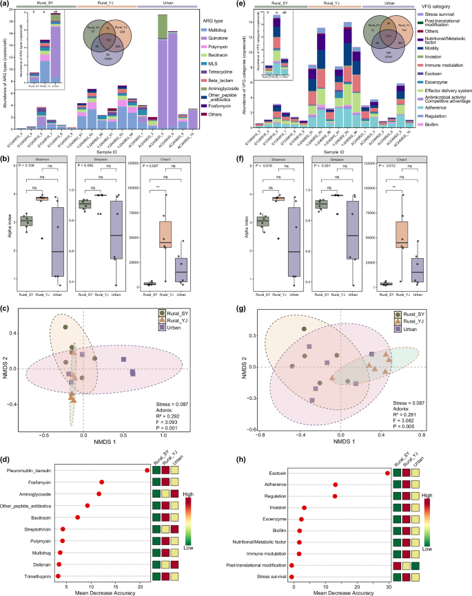 Fig. 4: Variation of ARG and VFG profiles in samples from Rural_SY (n = 6), Rural_YJ (n = 6), and Urban (n = 6).