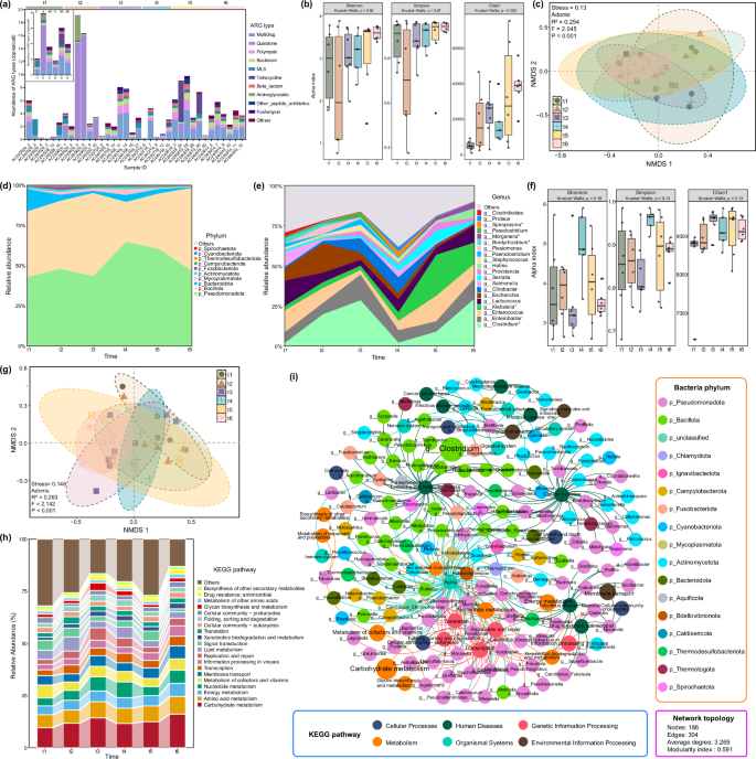 Fig. 5: Longitudinal changes in ARG and bacterial profiles in Vespertilio sinensis over time.